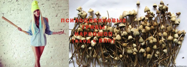 кокаин перу Михайловск