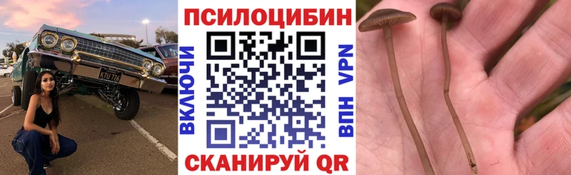 Галлюциногенные грибы Psilocybine cubensis  Купить закладки  Омутнинск 